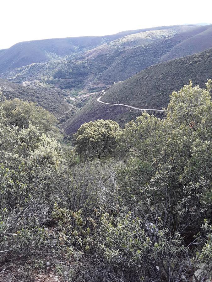 Casa Rural Costanilla San Miguel de Valero Eksteriør bilde